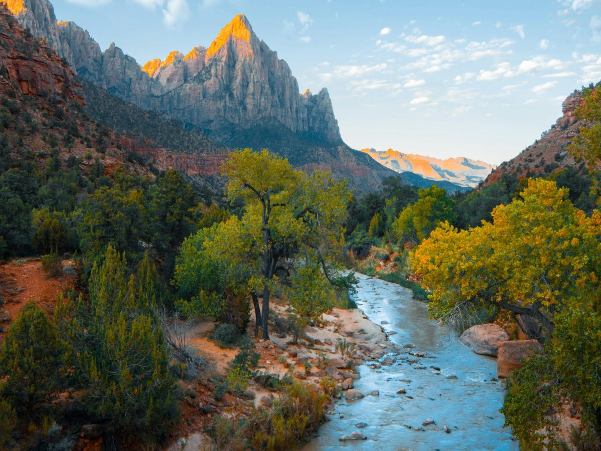 On the Death of&nbsp;Mota